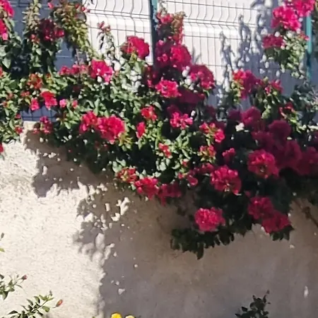 Apartament Megi-rent