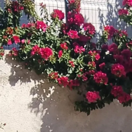 Megi-rent Apartament Wlora